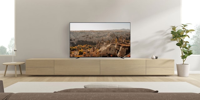 Andersson 55" 4K LED